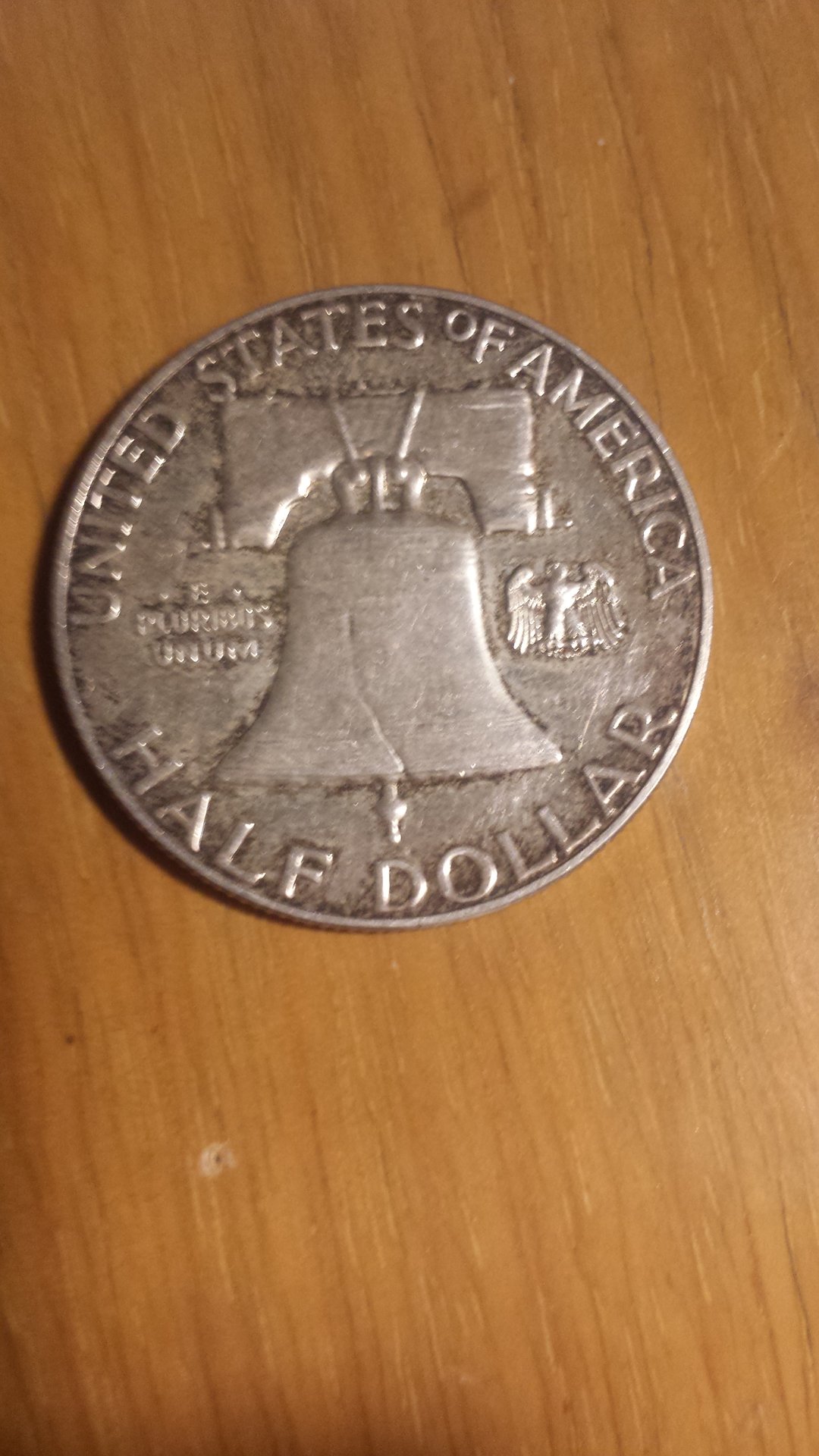 15570903991661455865340.jpg