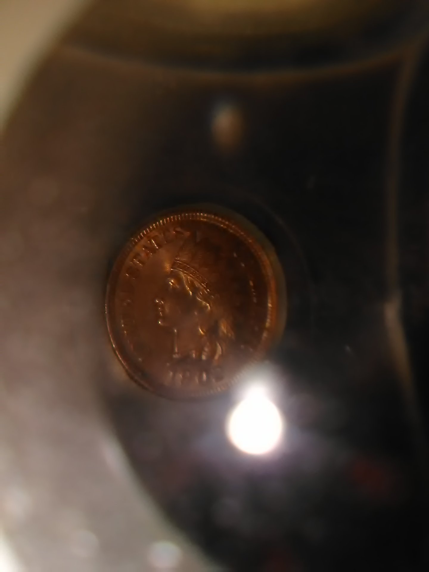 15583123421461659031145.jpg