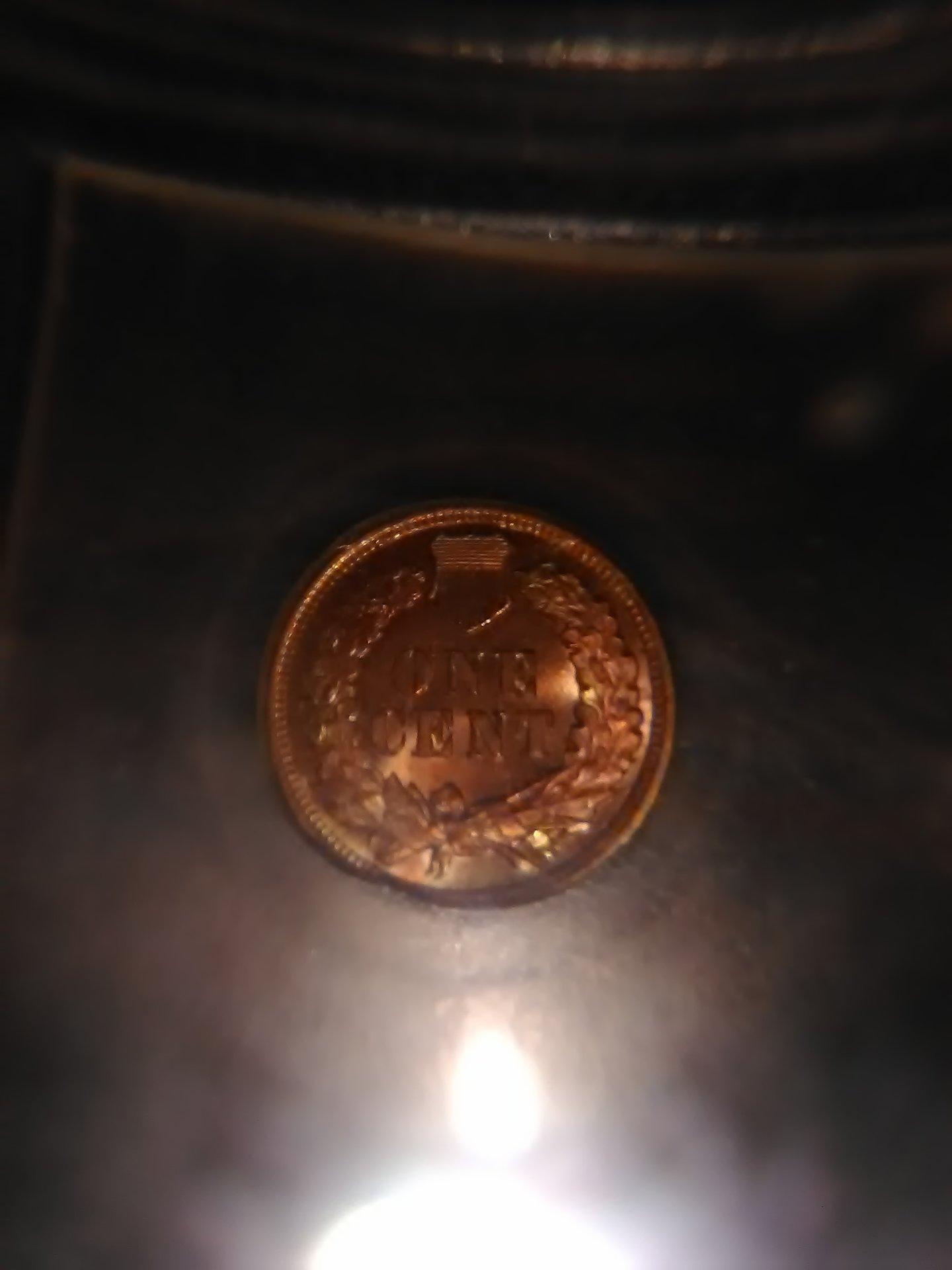 15583124786511745543345.jpg