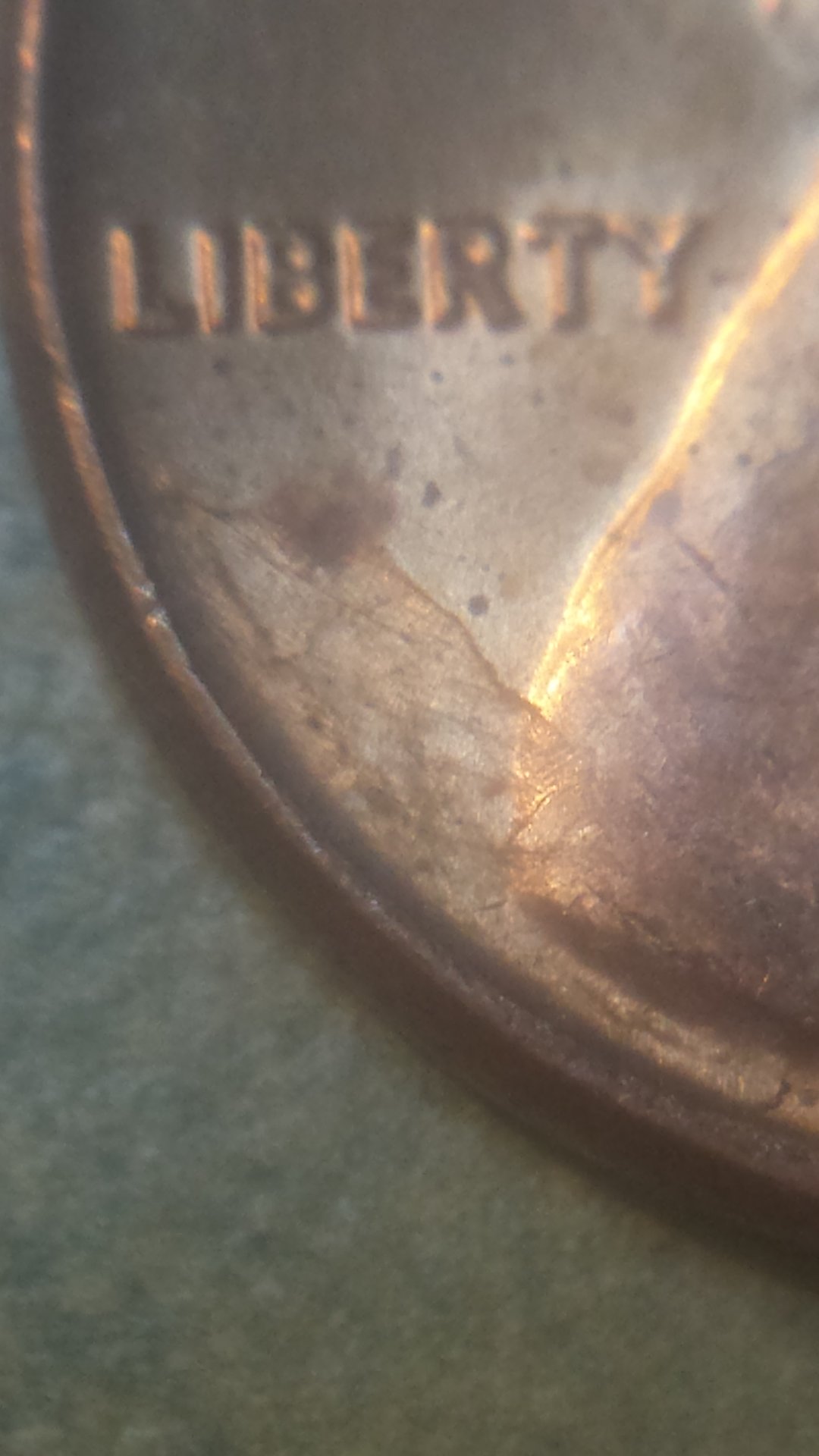 15595139046111139484441.jpg