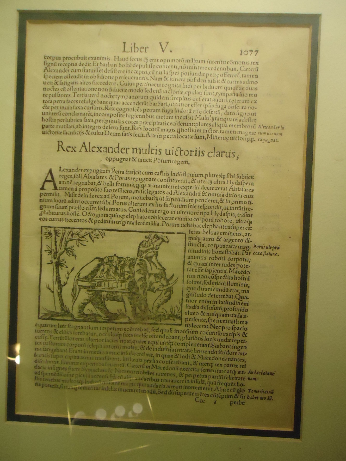 1560 Munster Cosmogrpahy Alex (1).JPG
