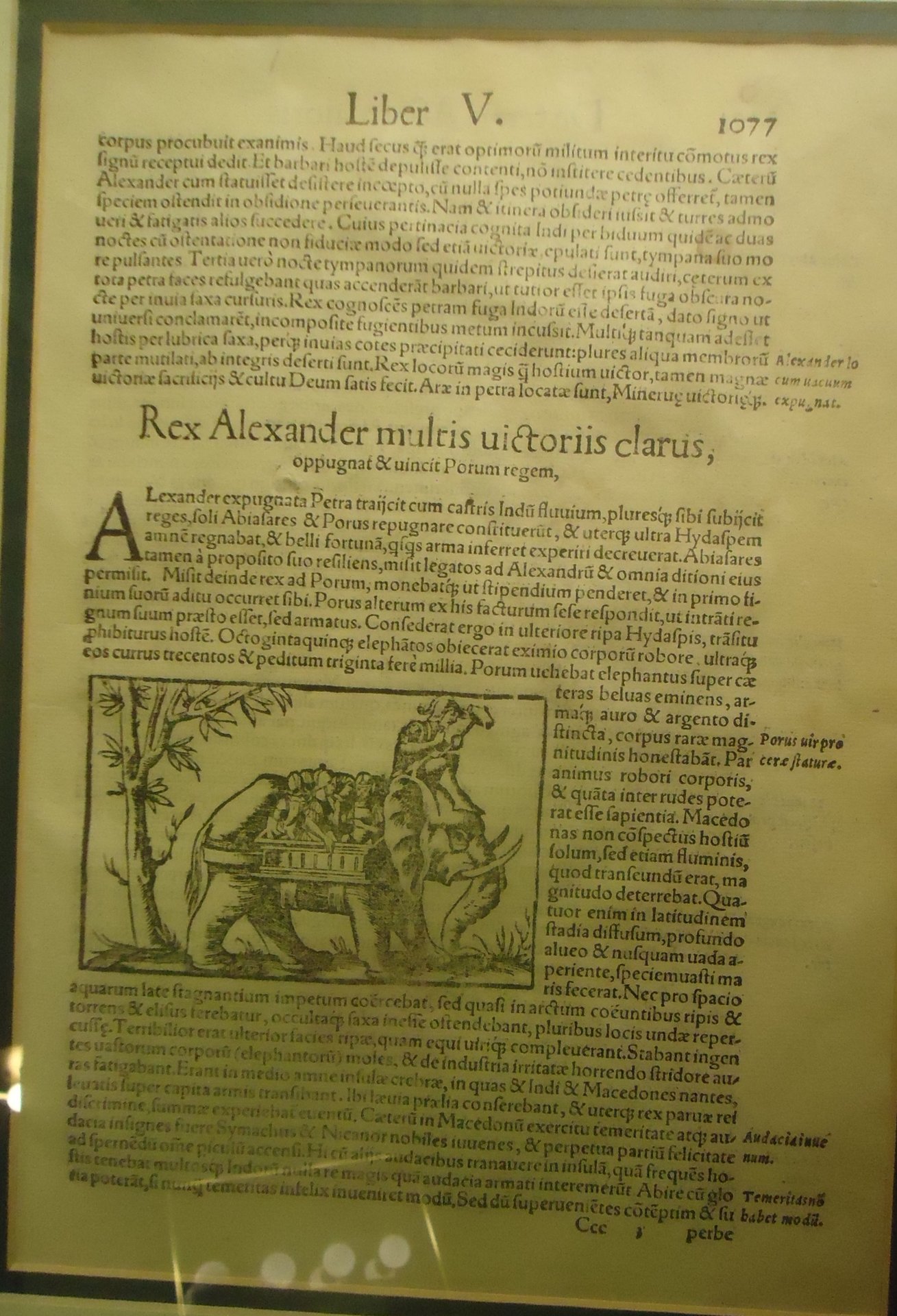 1560 Munster Cosmogrpahy Alex (1a).jpg