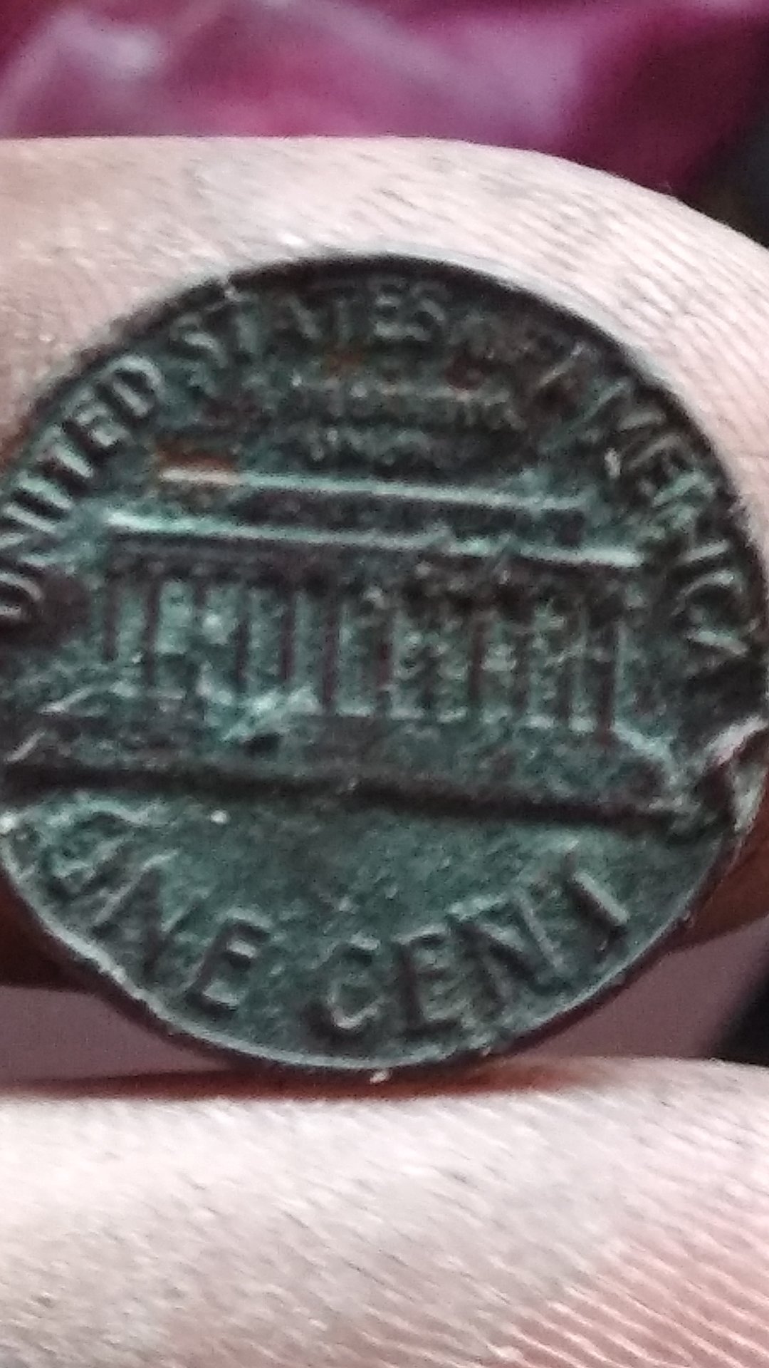 15612118379285270653101215634303.jpg
