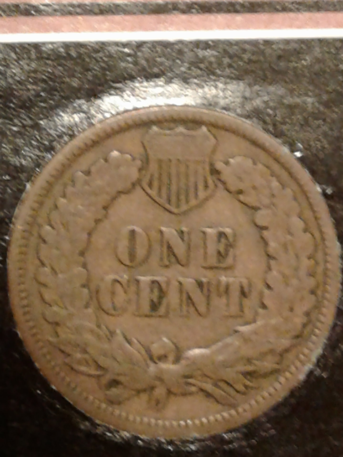 1561952477279926866880.jpg