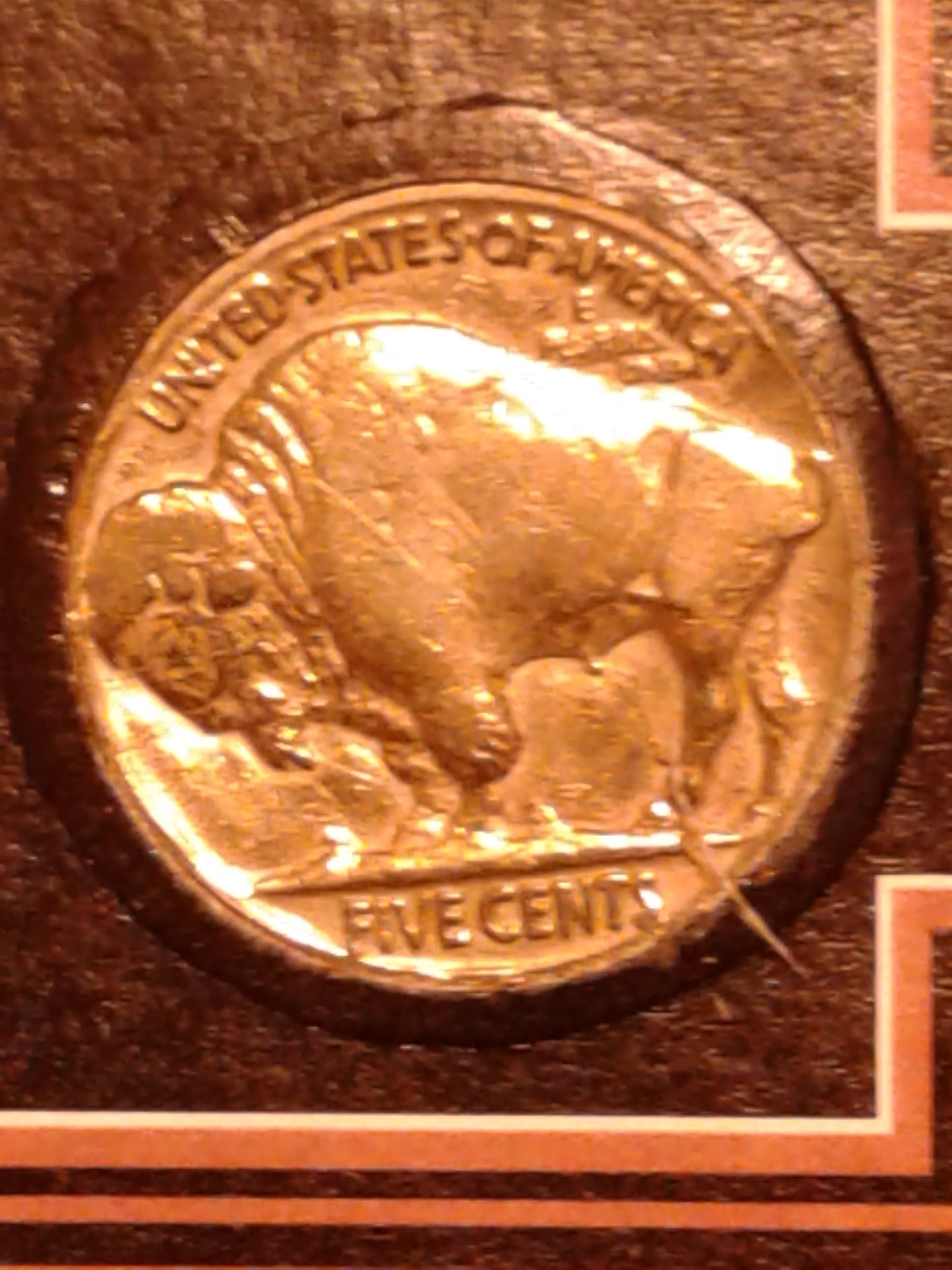1561952948677-698660780.jpg