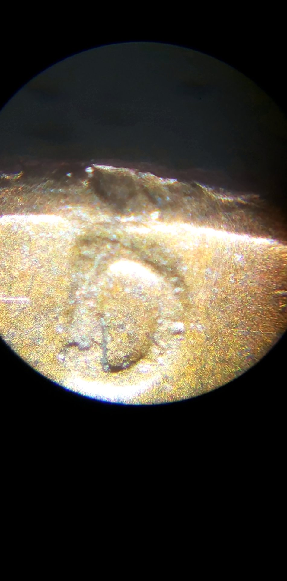 1562118086527.jpg
