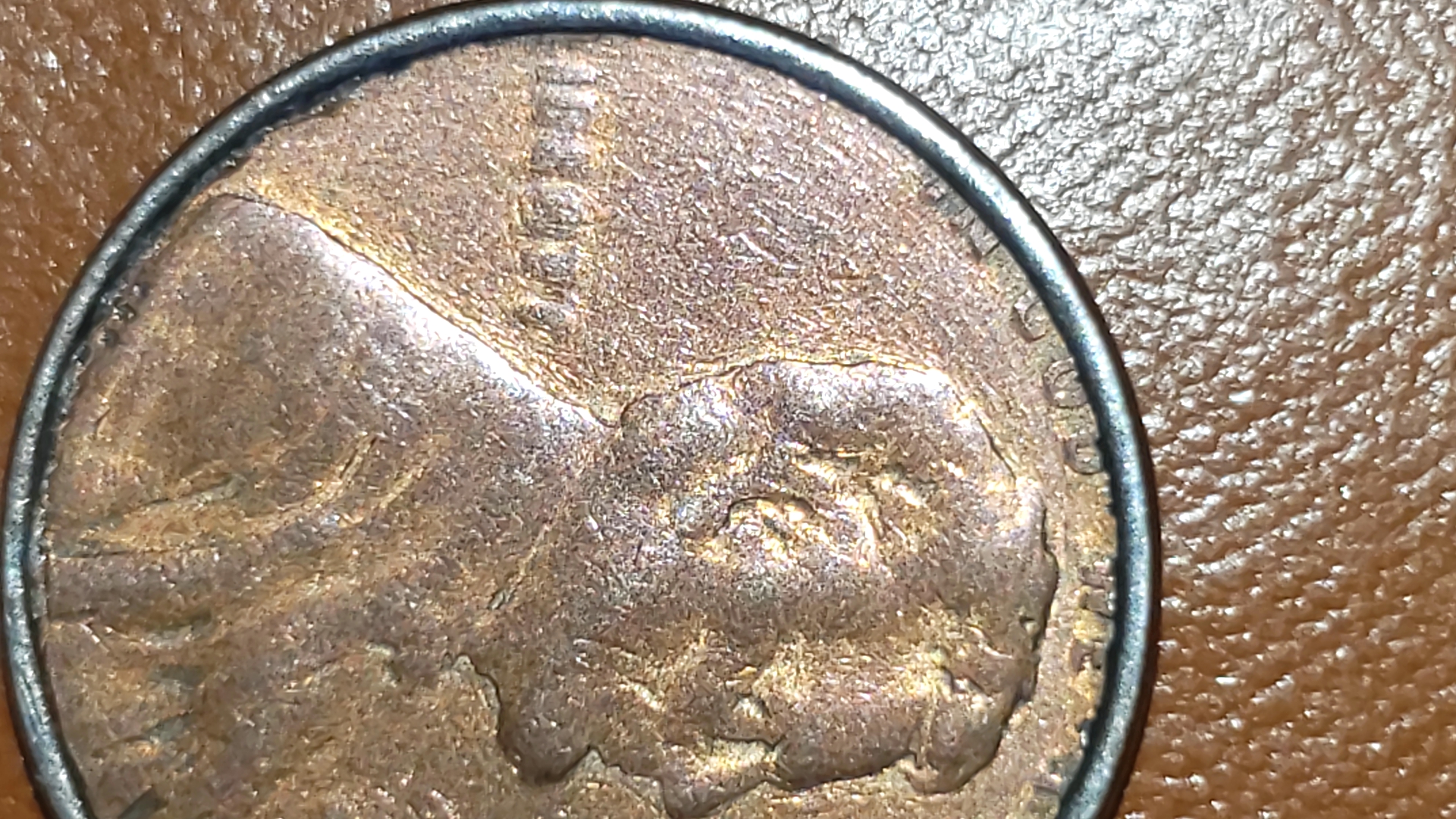 1564346412121.jpg