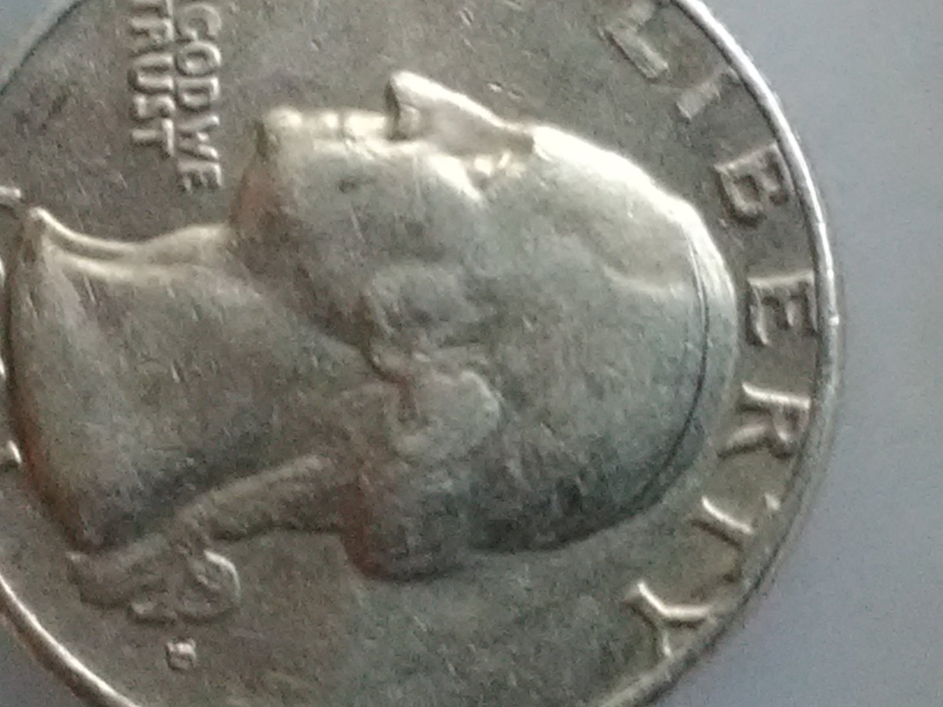 15659804182121913337805.jpg