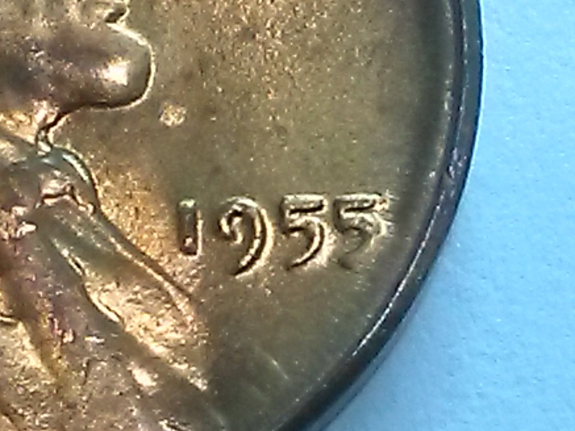 15691821213963031693651501572299.jpg