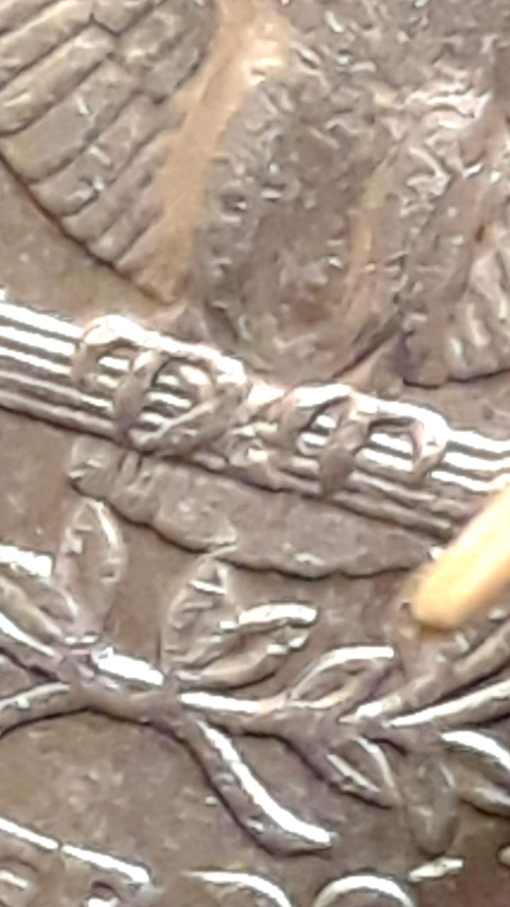 1574335549464.jpg