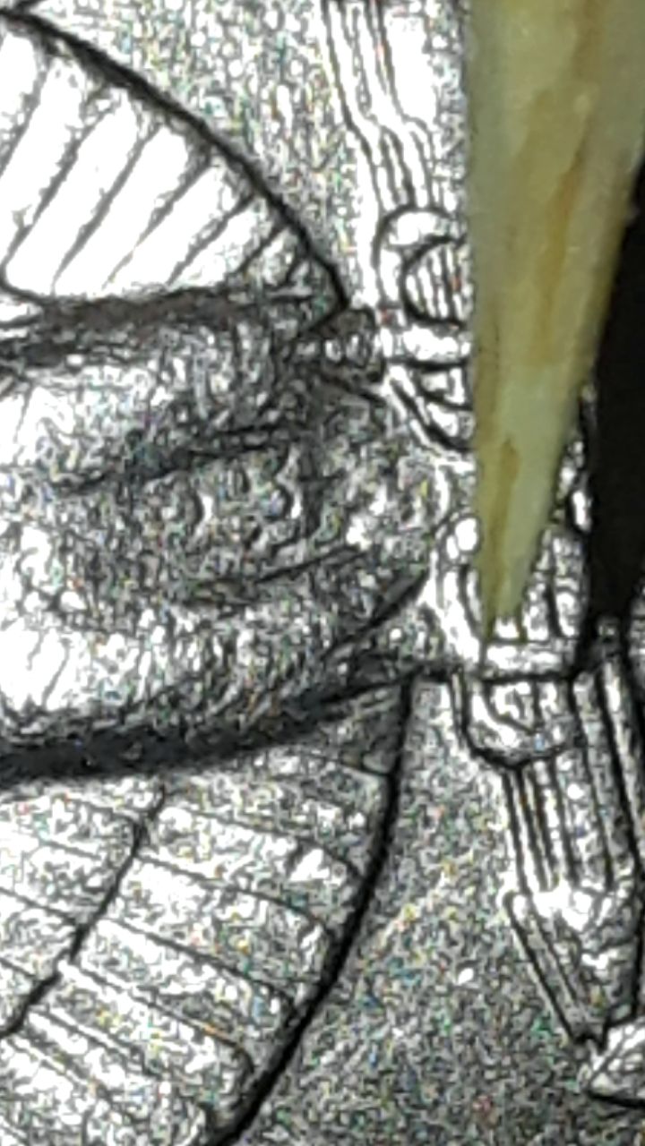 1574416768451.jpg