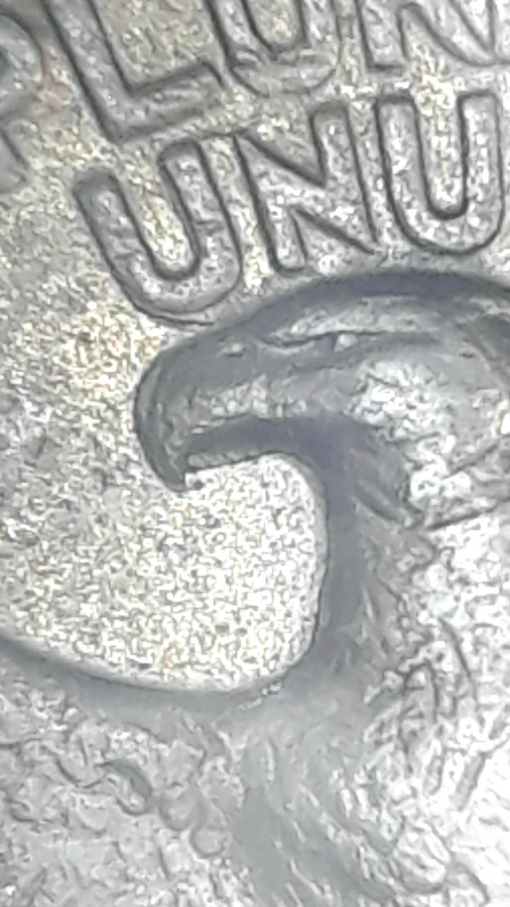 1574417016811.jpg