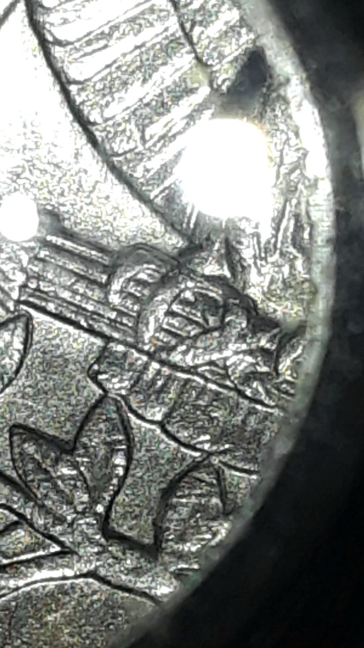 1574417219838.jpg