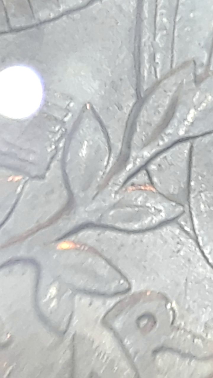 1574417421786.jpg