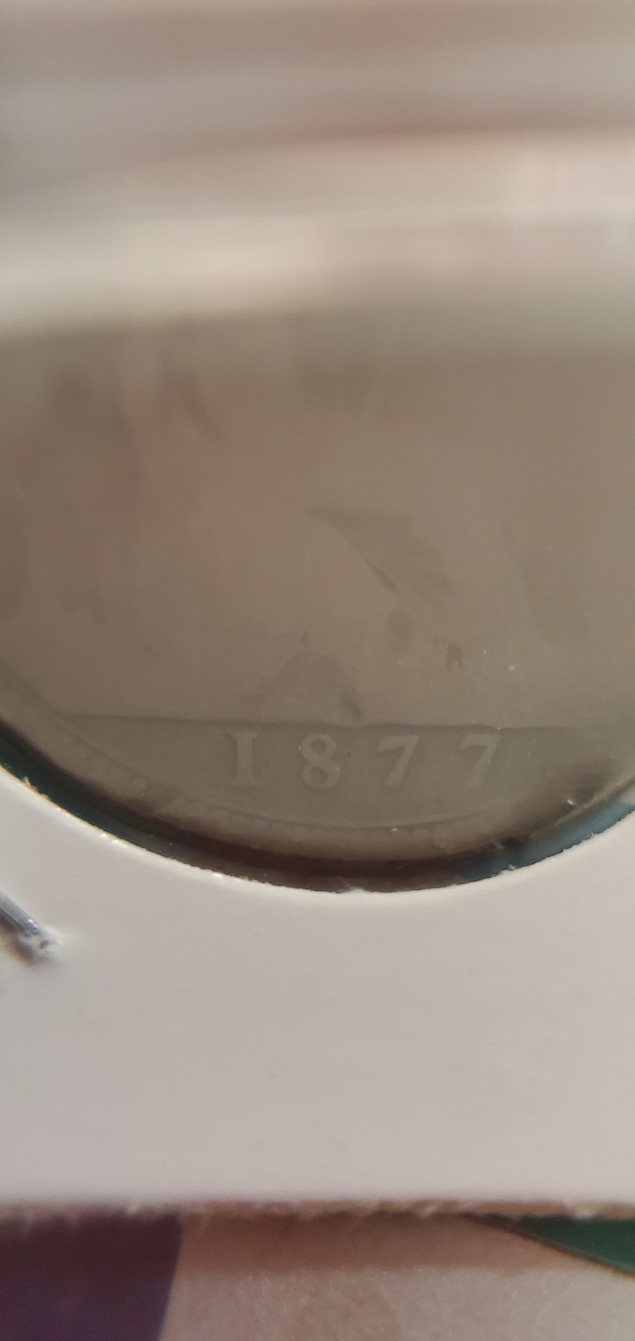 15773983137498449561711307261588.jpg