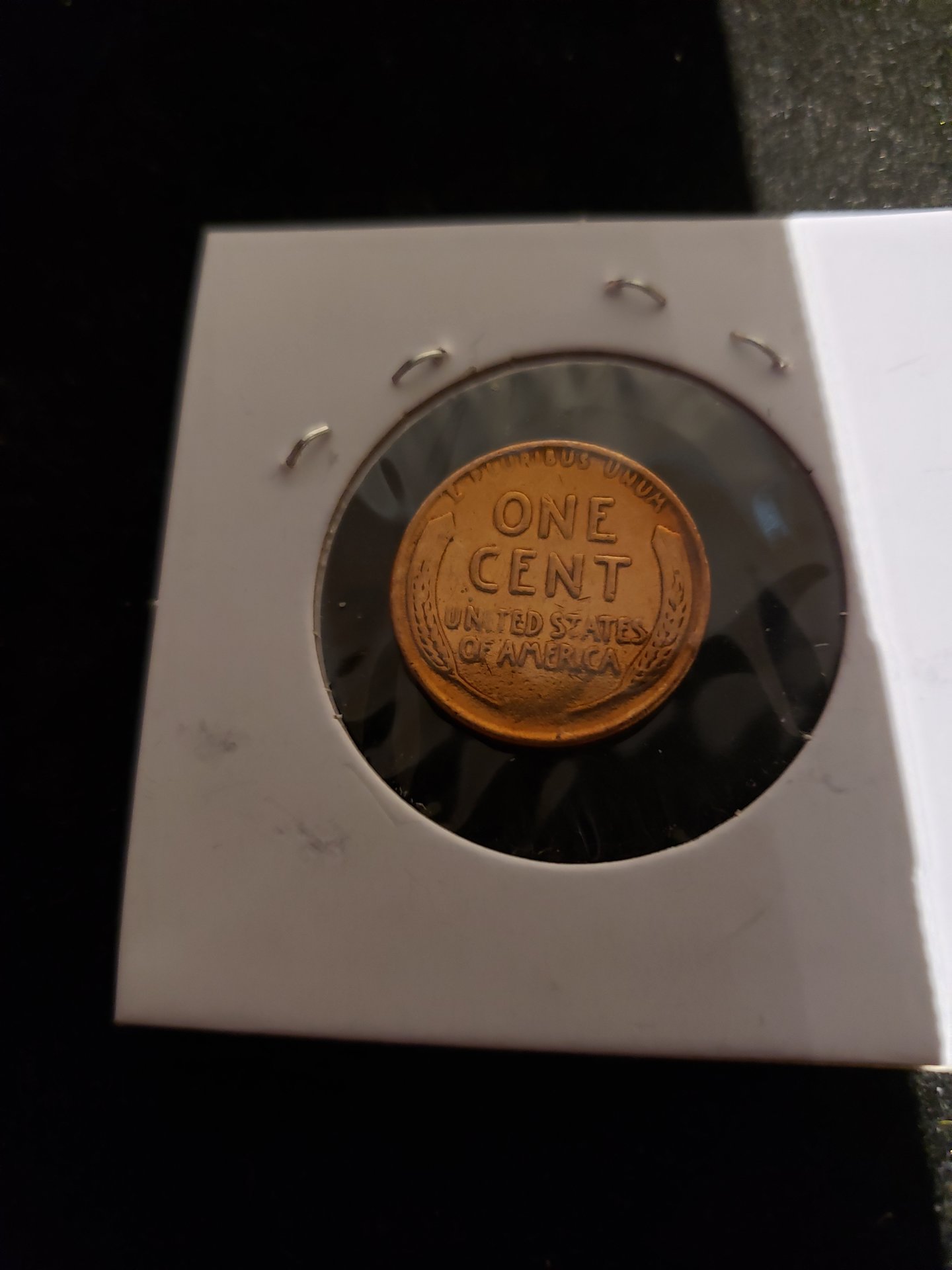 15855224297273402286020440638918.jpg