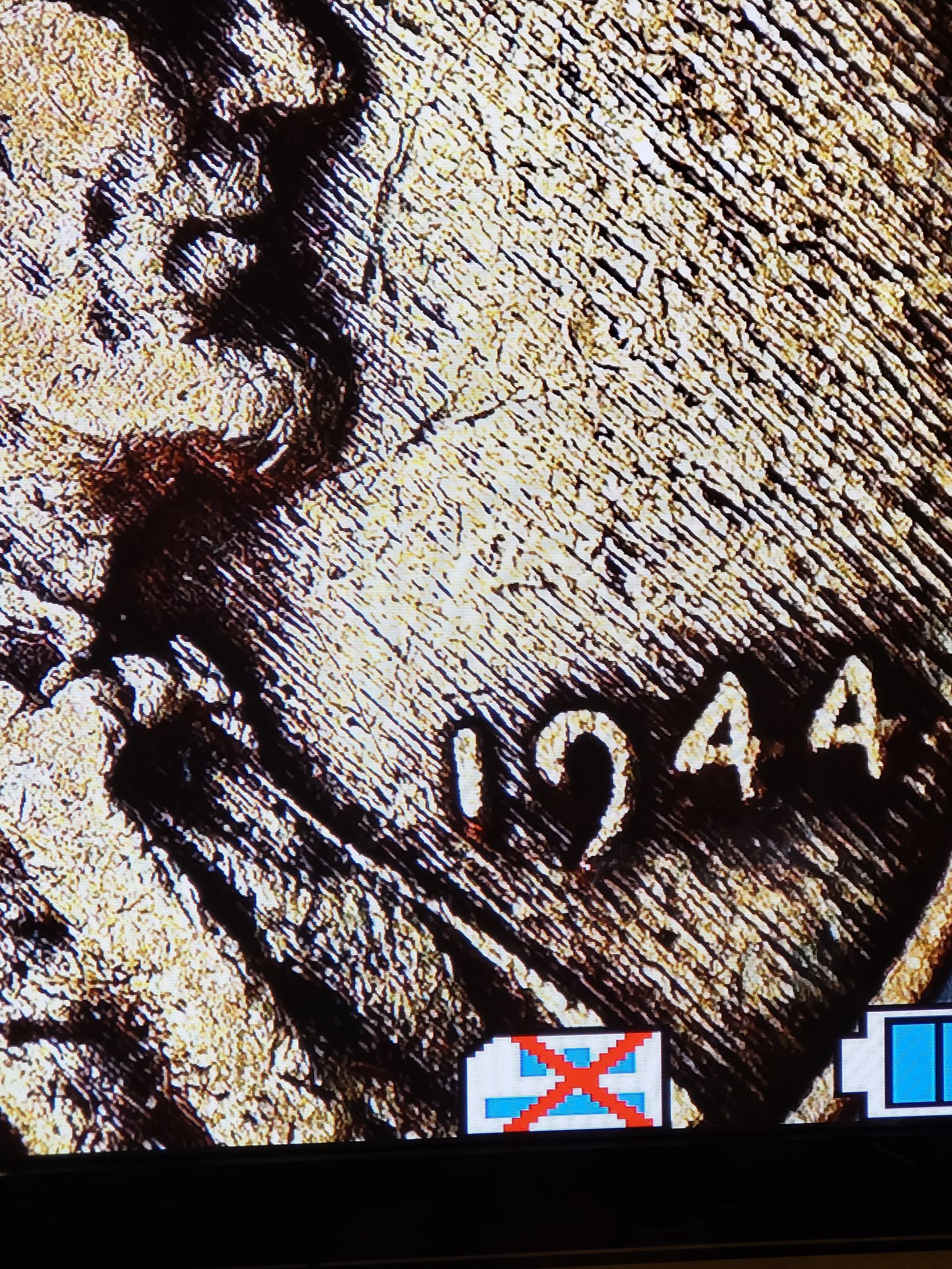 1585777342344240742762117859049.jpg