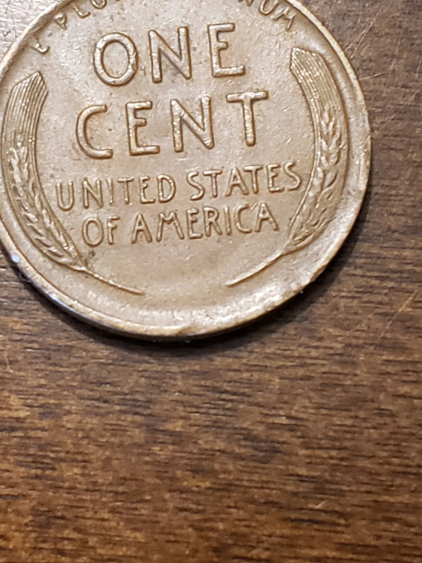 15877605974302157857269924512431.jpg