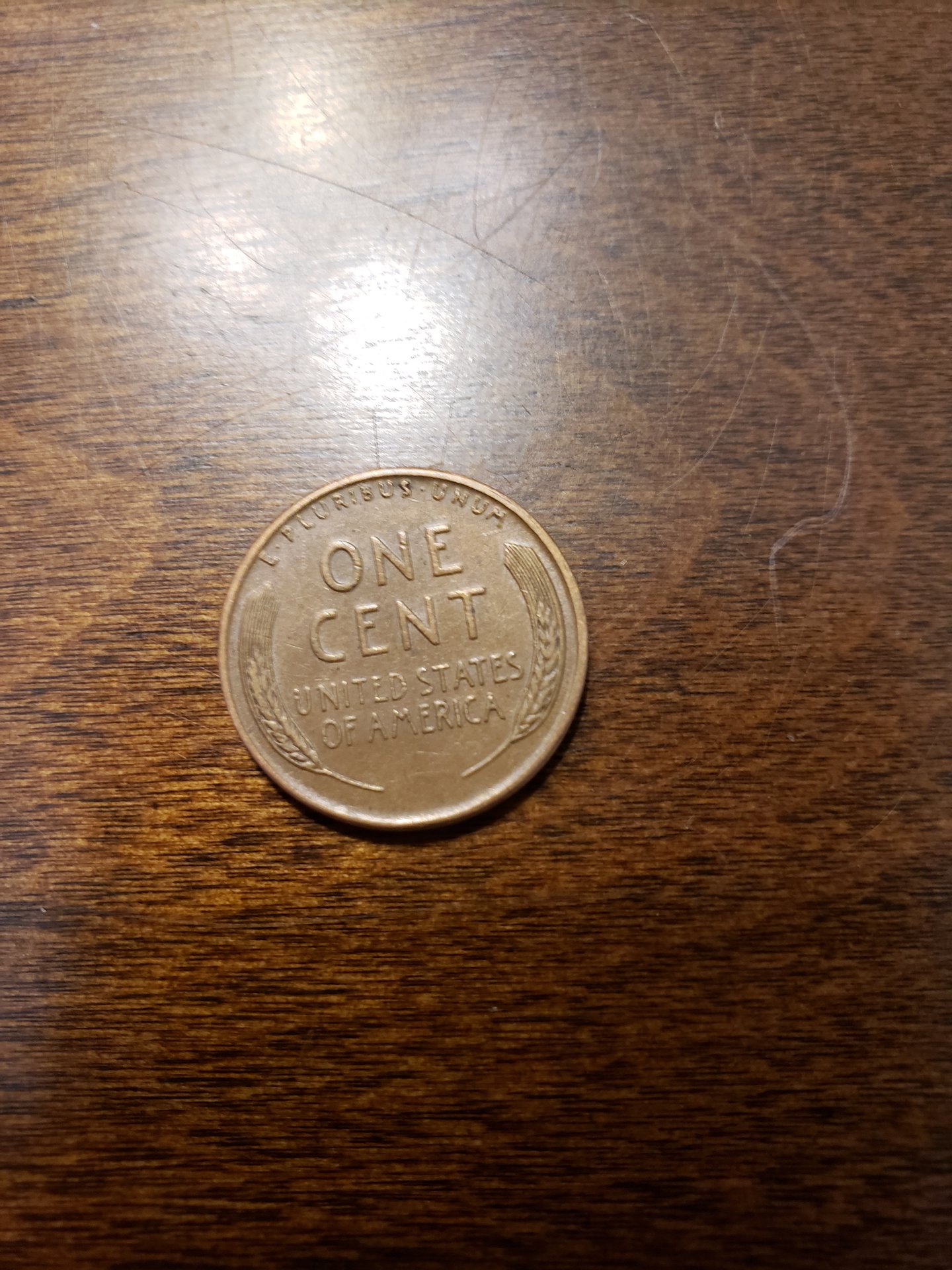 158793455945882847975194430384.jpg