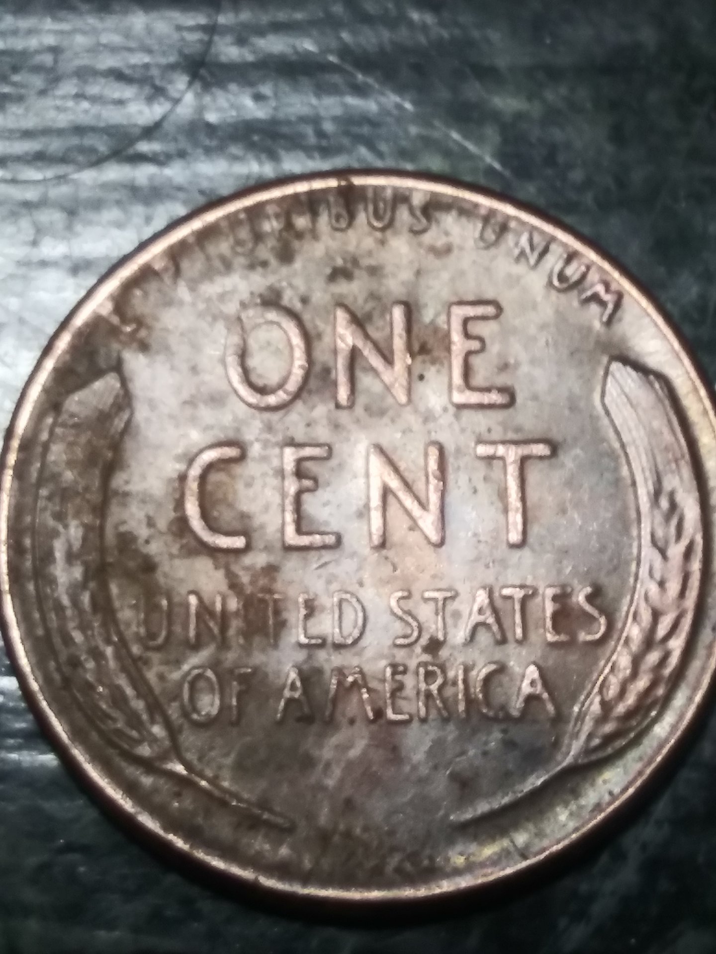 15885453741508692436452578191248.jpg