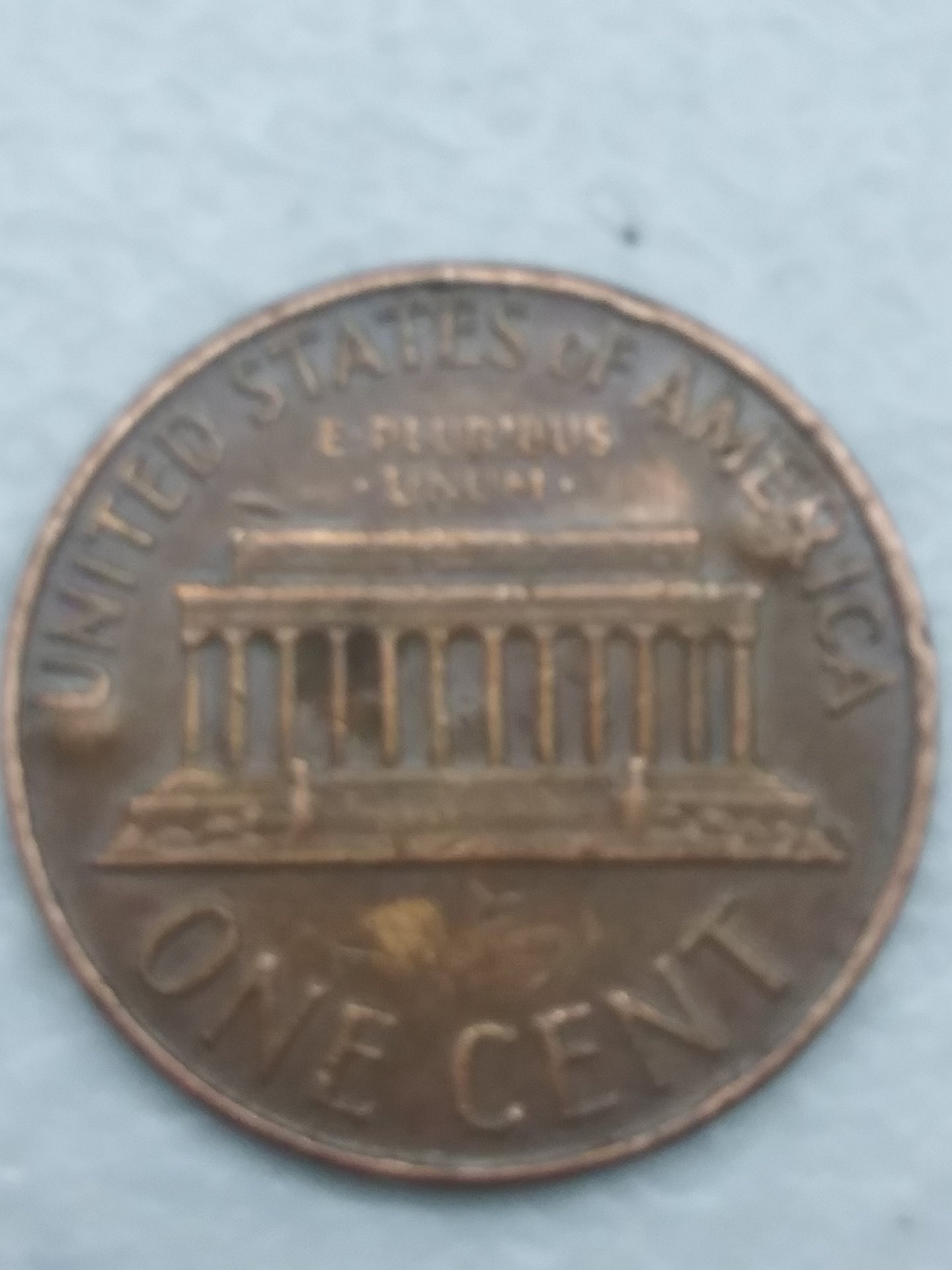 15886122498823303135049522040371.jpg