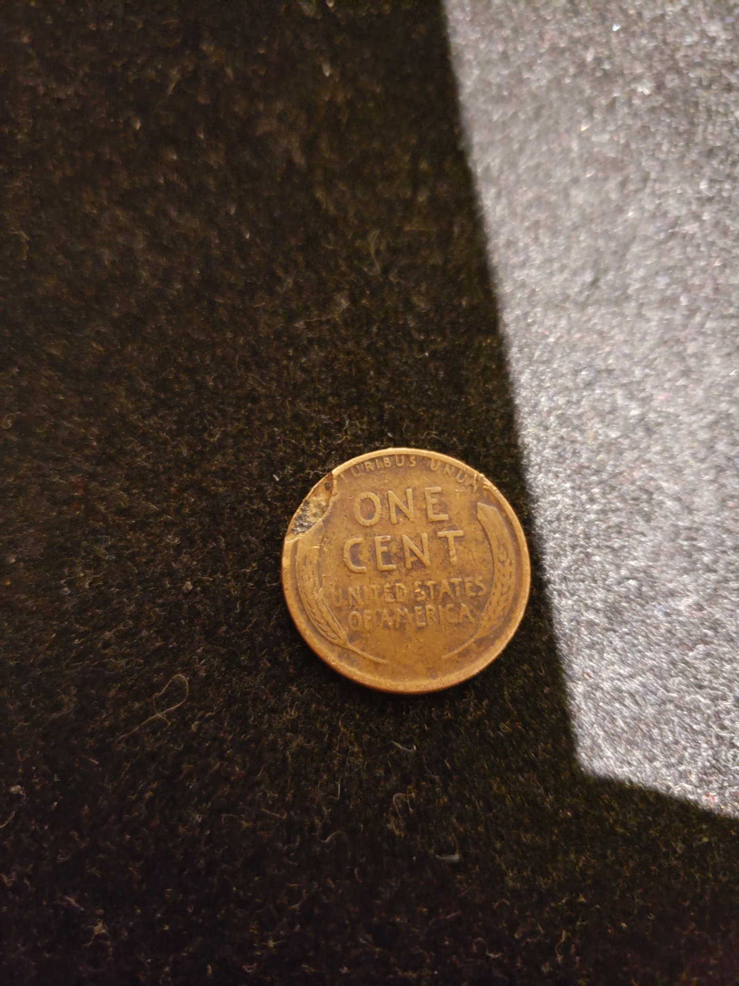 15886440188074792288221532227375.jpg