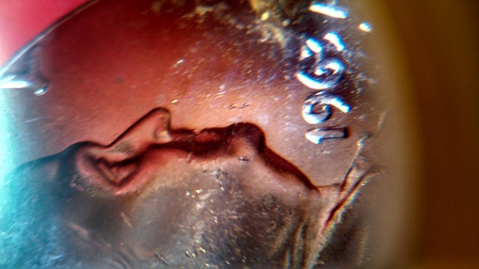 15895009_10210483645121706_1817671925957786661_n.jpg