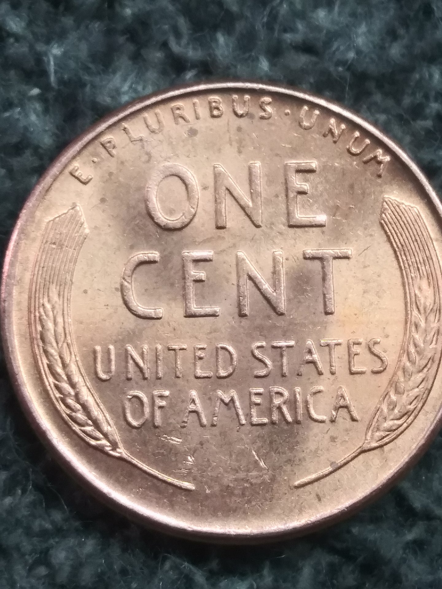 1589576263912149058996605361946.jpg