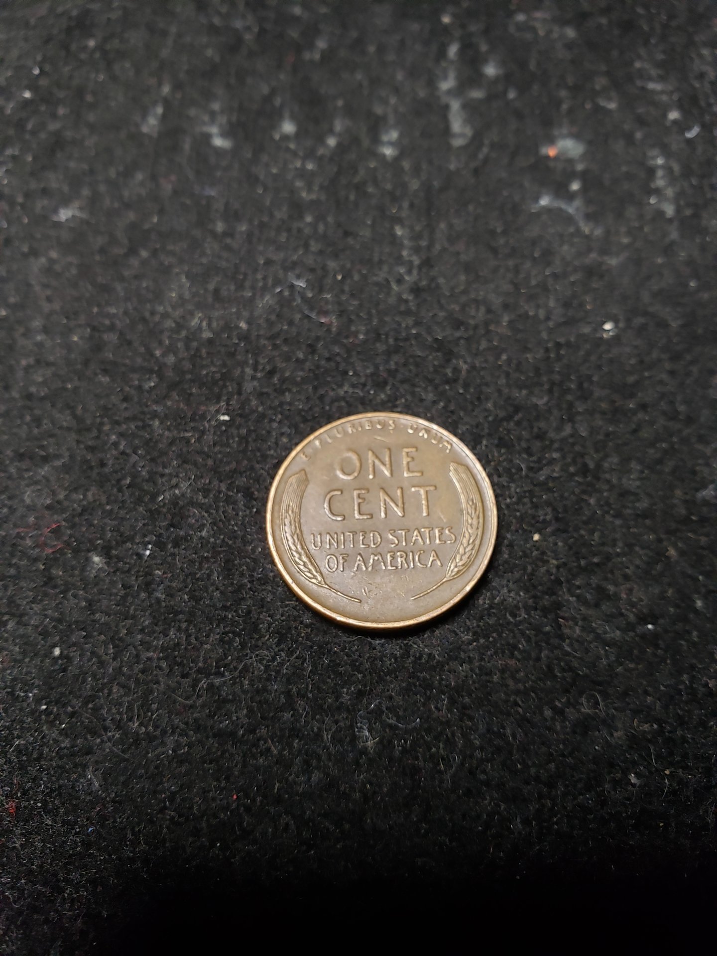 15909770595689186092037759527094.jpg
