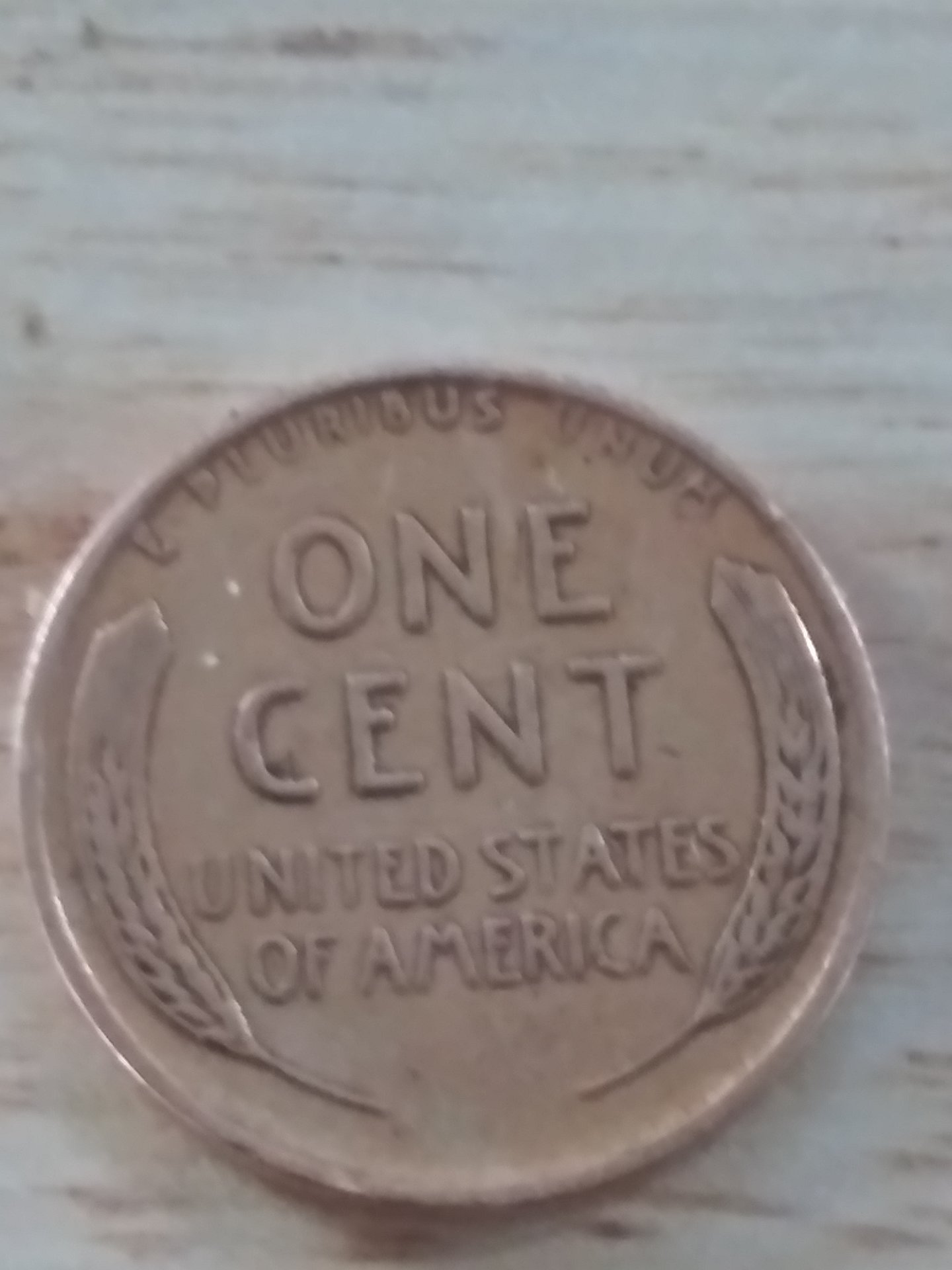 15912211016875345942818530440269.jpg