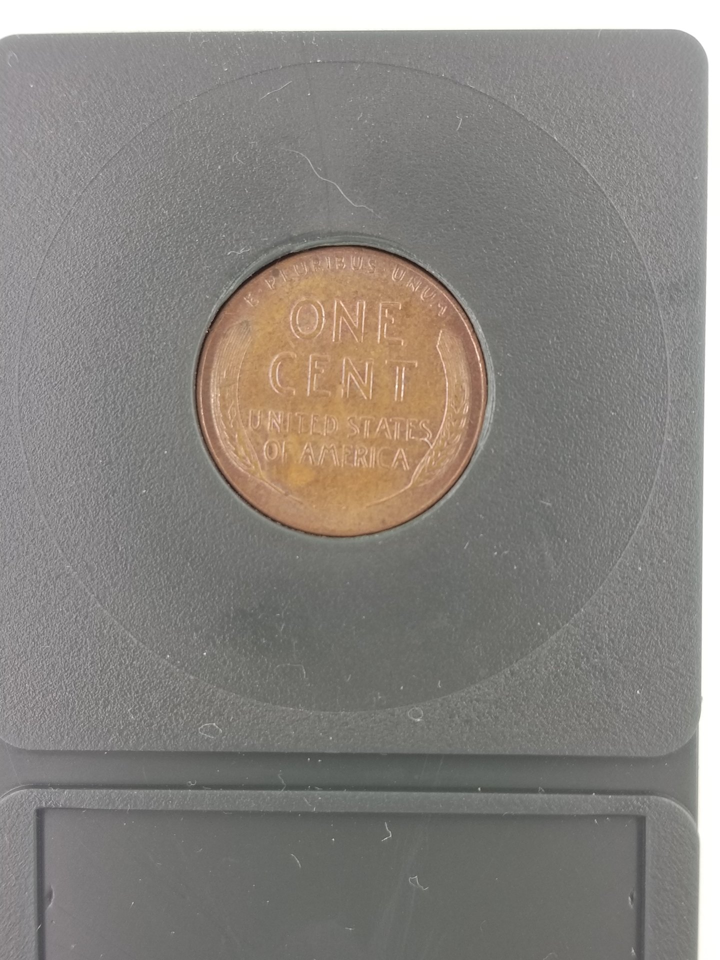 1594752175296_20200714_143824.jpg