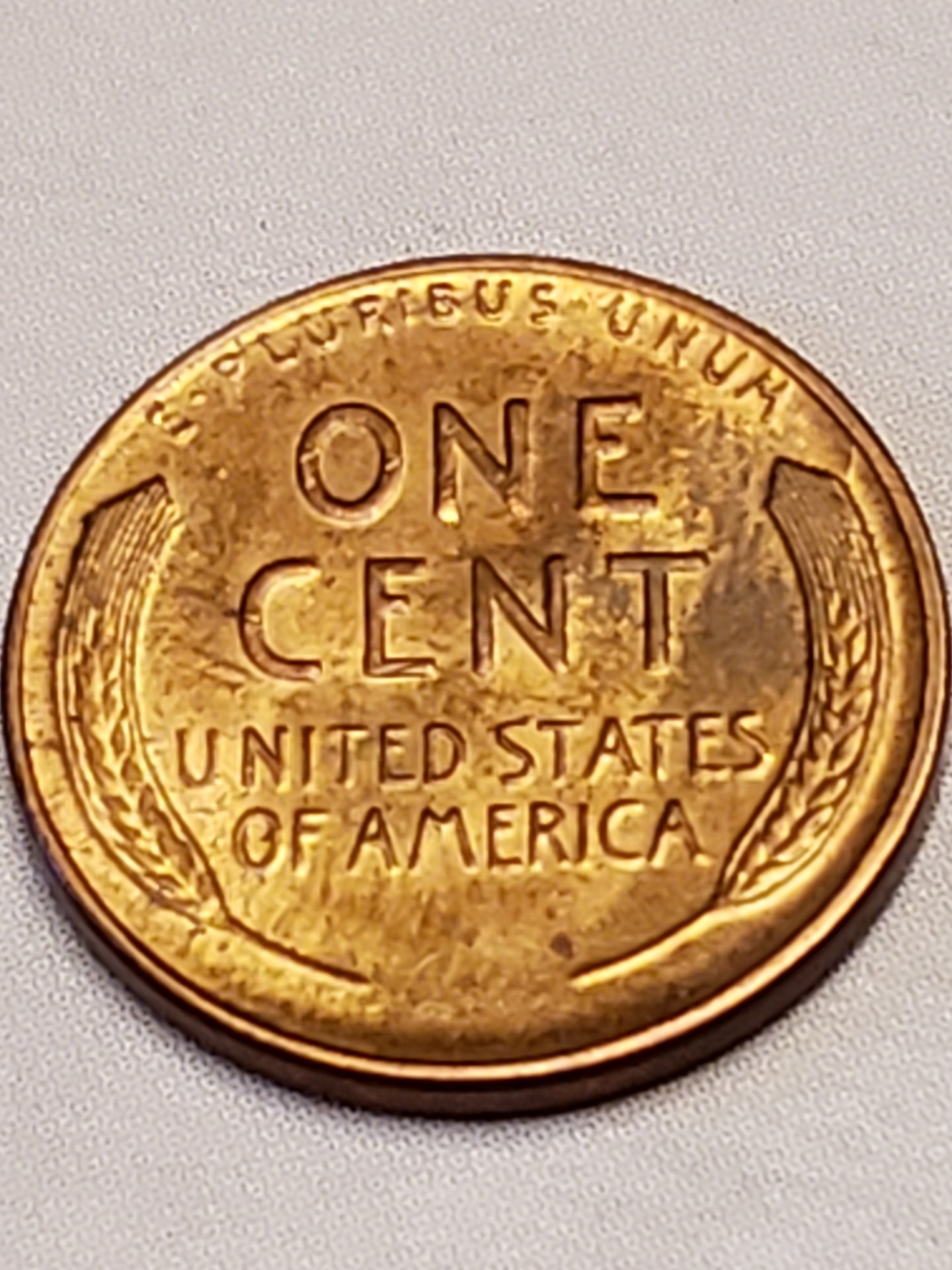 15980751857461167640205993772418.jpg