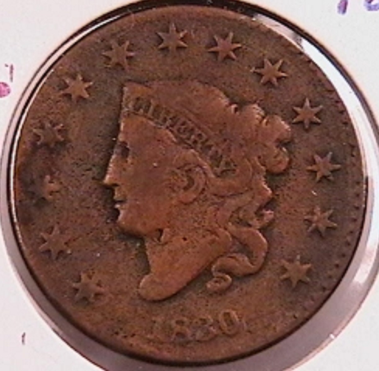 15a.jpg