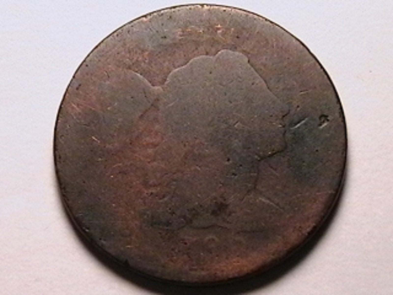 15b.jpg