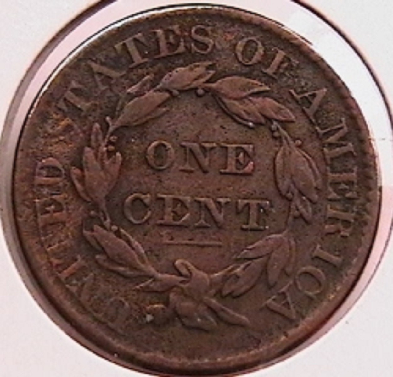 15b.jpg