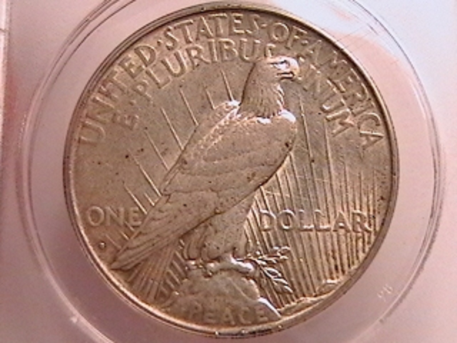 15d.jpg