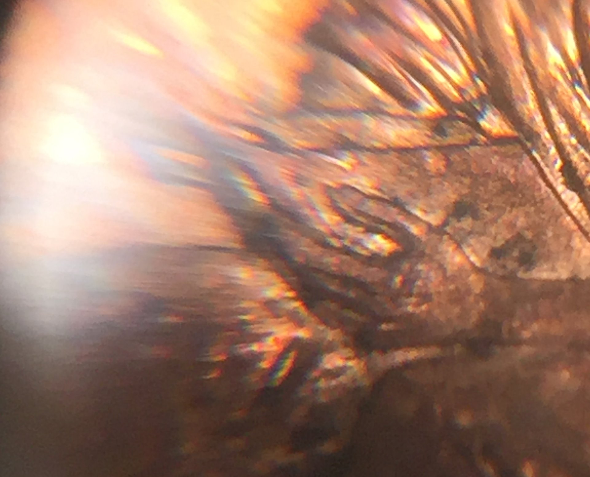 15NOV17 2009 DDR 037 Close.jpg