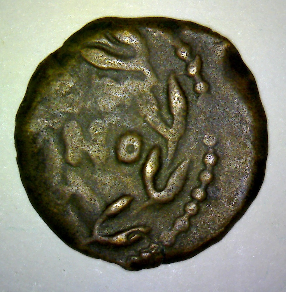 16 653 REVc.jpg