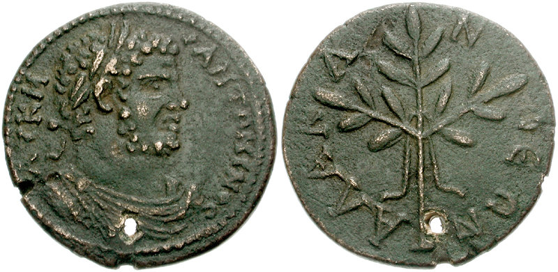 1600207.jpg