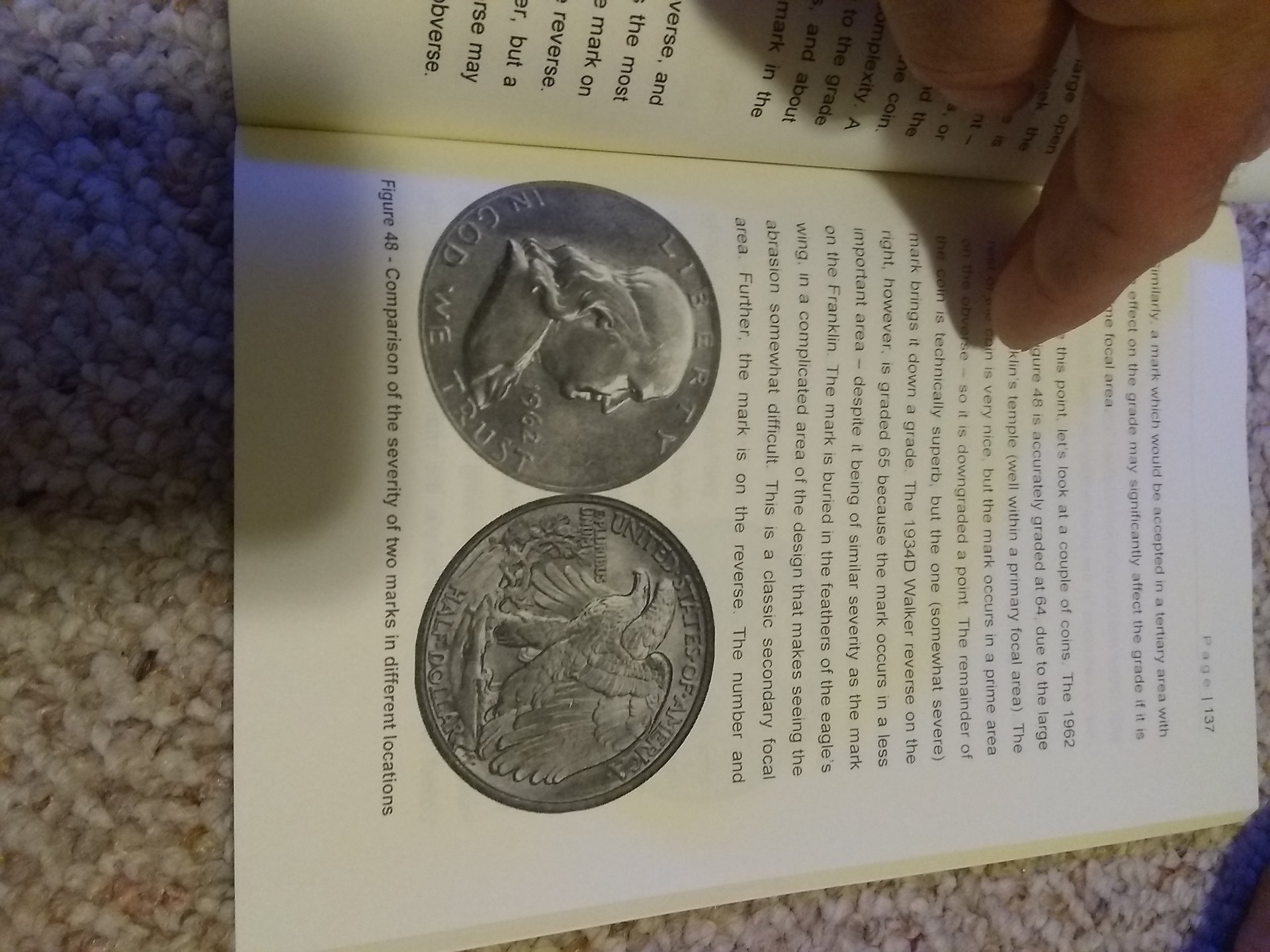 16023301515521389264794036905393.jpg