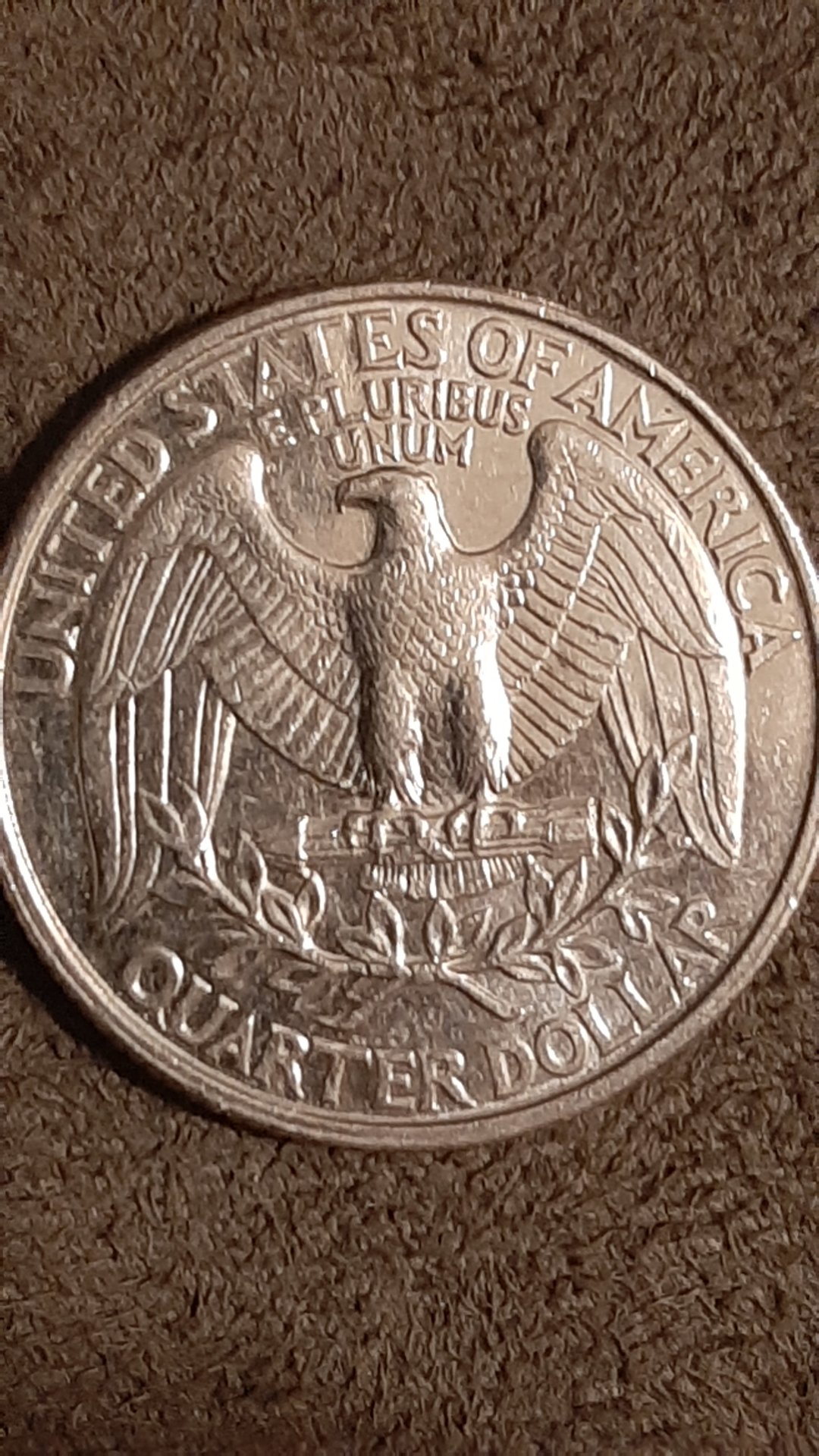 16035004636335021872026311902178.jpg