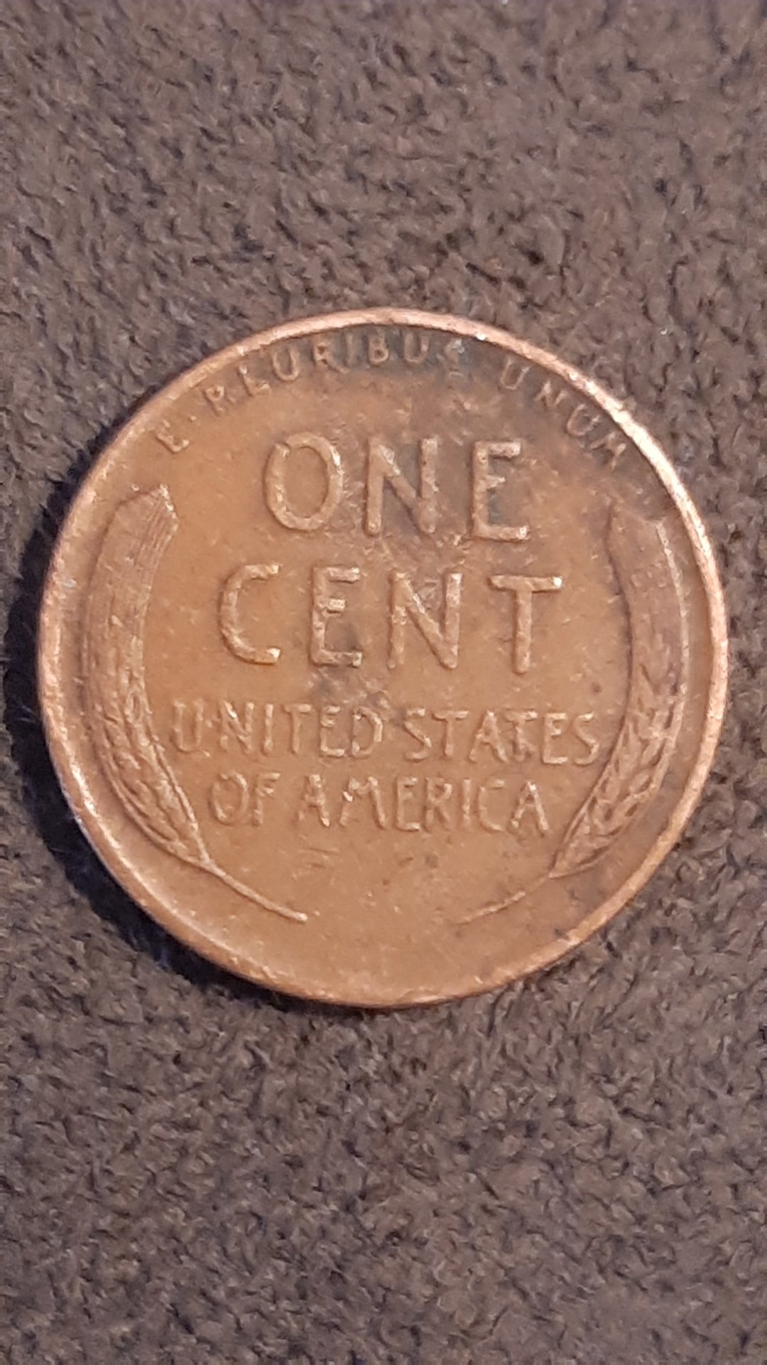 16036549208675730929301093642874.jpg