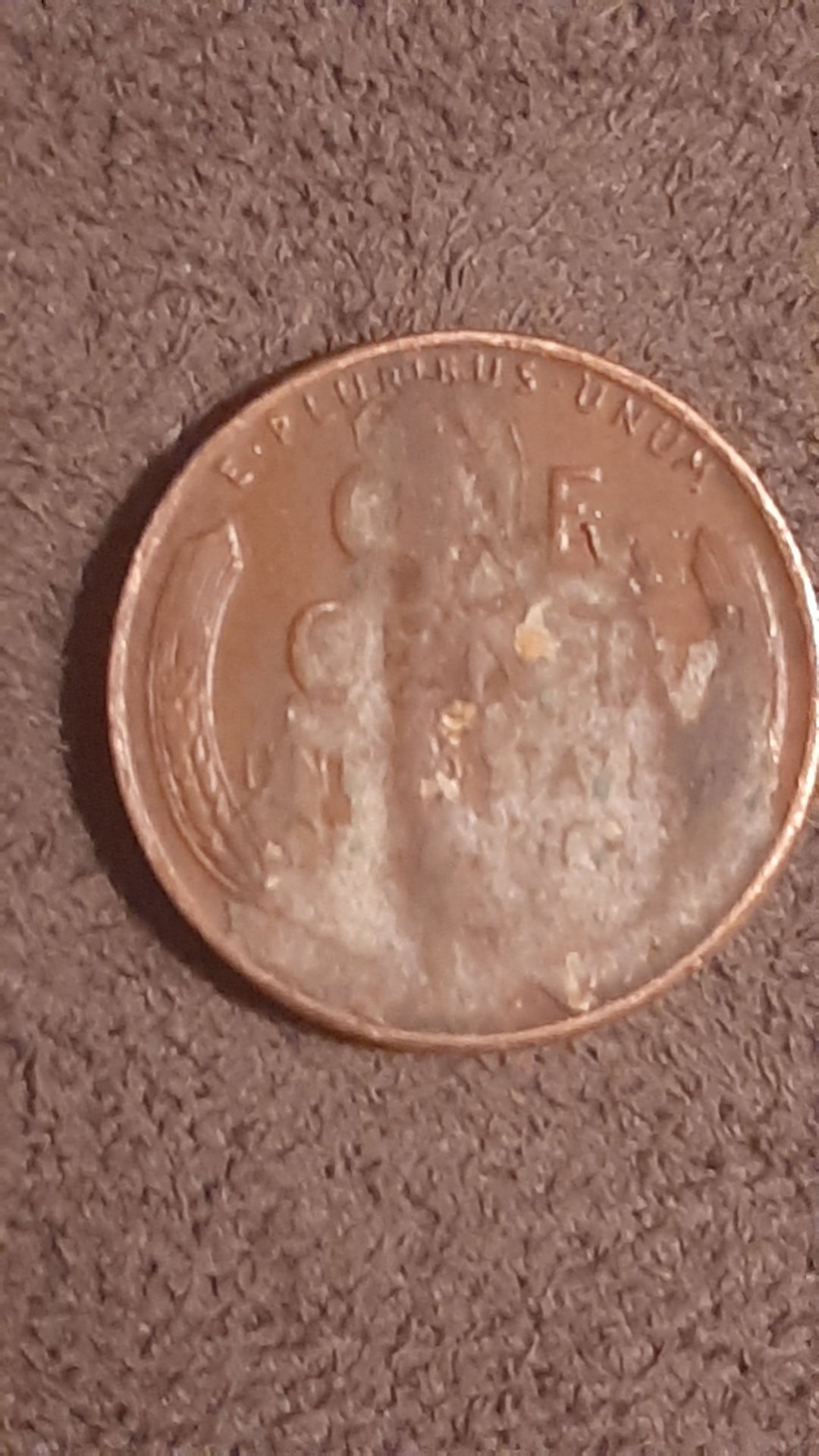 16036662247288746510451355856498.jpg