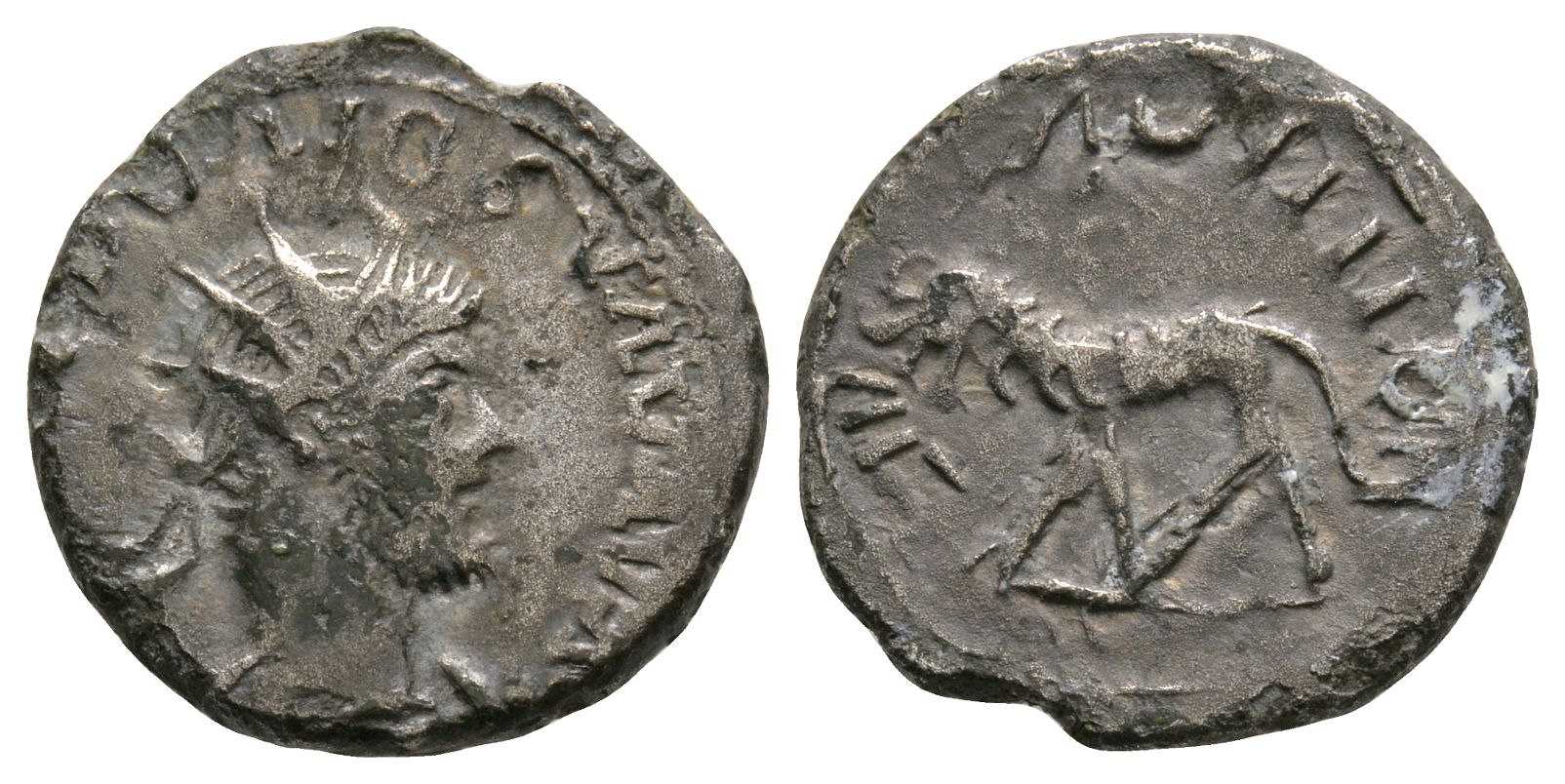 160491.jpg