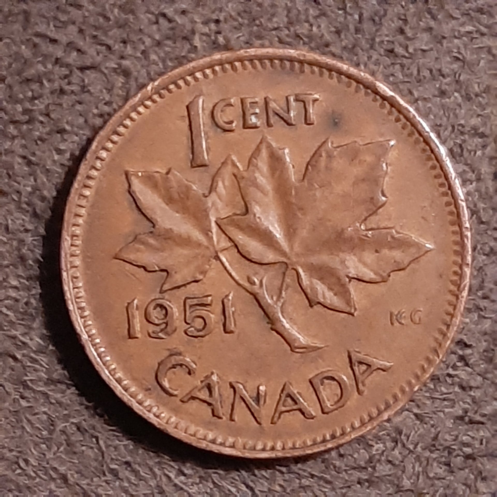 16053249577853573095569951416525.jpg