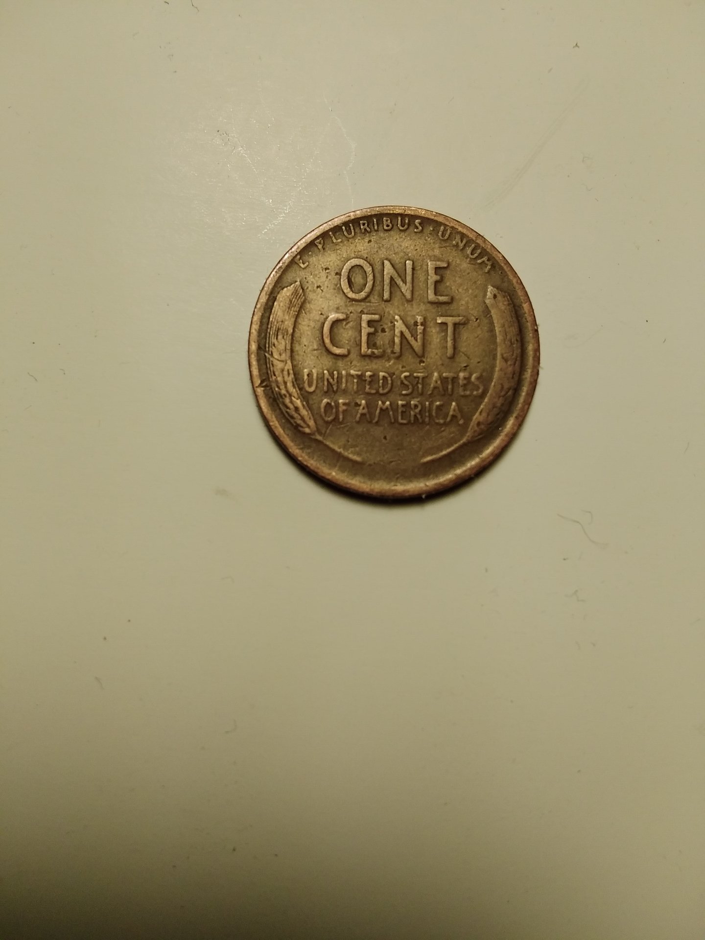 16074453165582706459396839892329.jpg