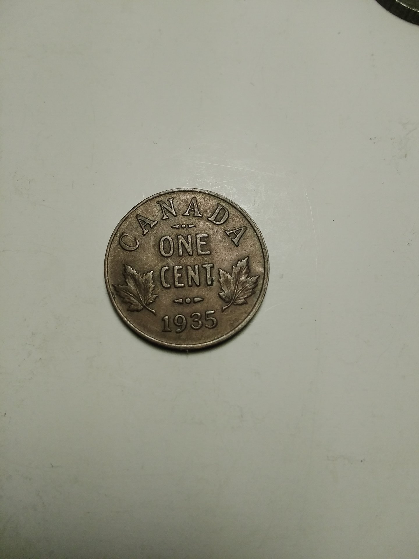 16086918786281487658554057325246.jpg