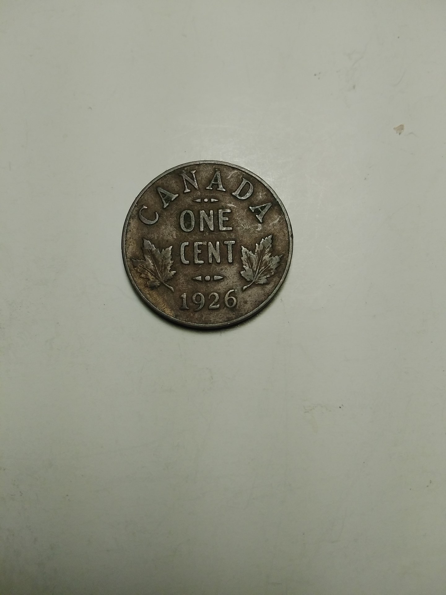 16086926985008517719145939296101.jpg