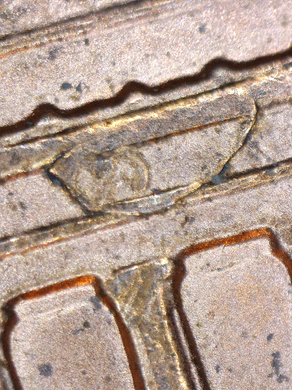 161019191358545.jpg