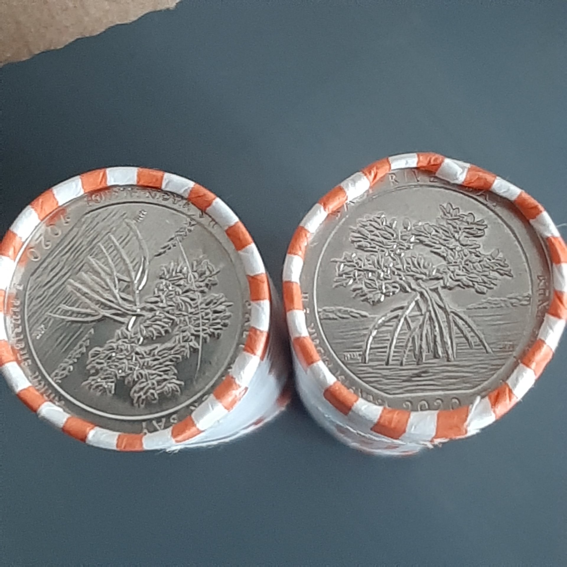 16111654200223186433808588880923.jpg